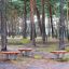 Wooden Balance Board mänguväljakul männimetsas
