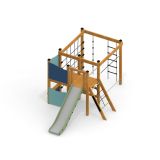 Little Jungle Nature